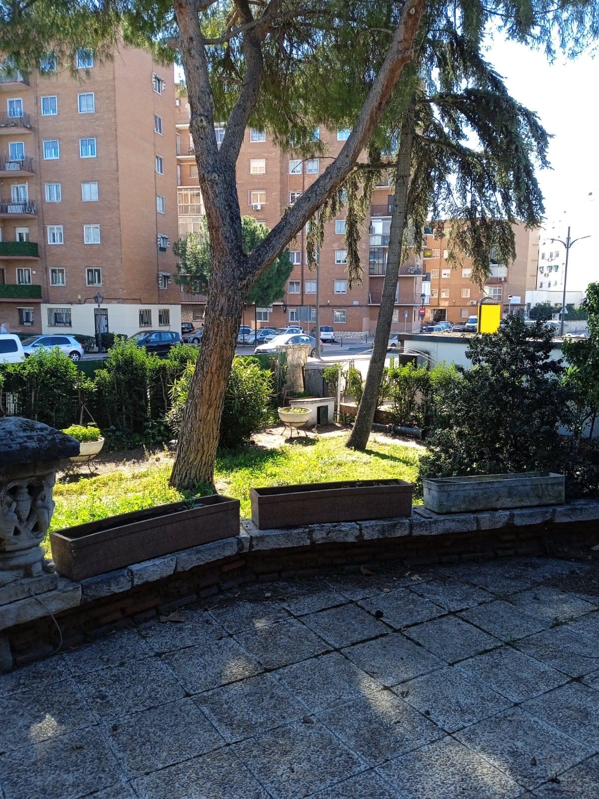 El jardín antes de la obra, con el pino y el suelo sin arreglar.